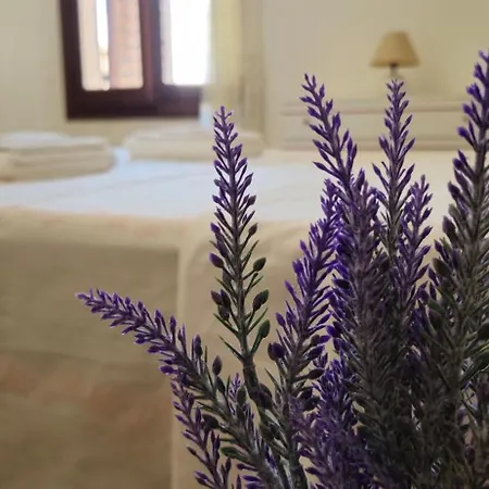 Vittoria * Tortolì